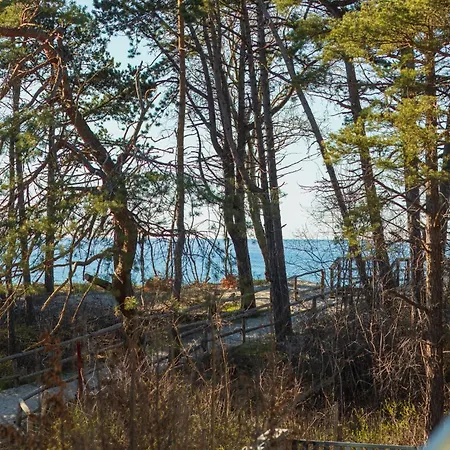 Amber Dunes - By Rentmonkey *