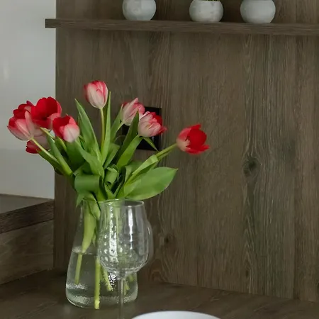 Amber Dunes - By Rentmonkey 아파트 *