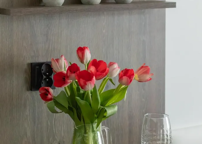 アパート Amber Dunes - By Rentmonkey ポゴジェリツァ