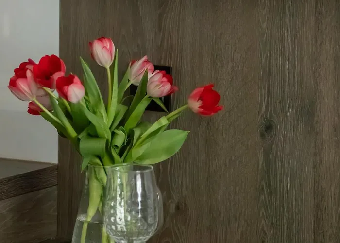 Amber Dunes - By Rentmonkey アパート *